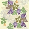 Branch grape with floral lace on cream background.